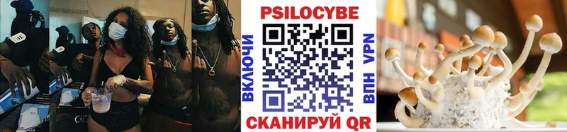 цена наркотик  Нефтегорск  Псилоцибиновые грибы GOLDEN TEACHER 